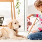 Young girl sitting on the floor playing with her dog