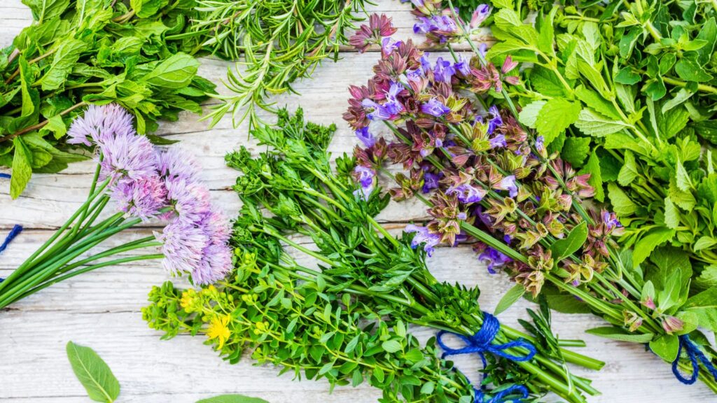 Piles of dried herbs on table