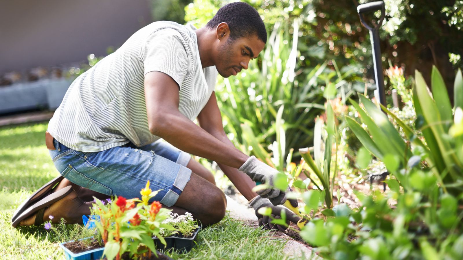 Man planting flowers in his landscaping