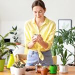 Woman repotting house plants on a counter