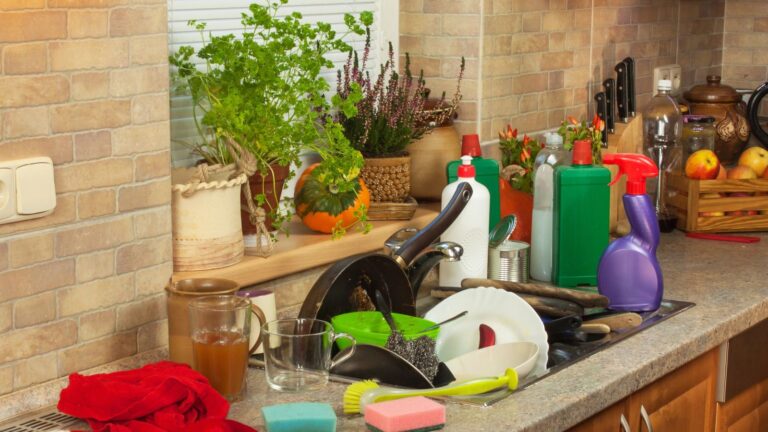 9 Reasons Your Kitchen Always Looks Cluttered (And How to Fix it)