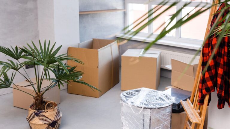 17 Items You Should Toss Before Your Next Move