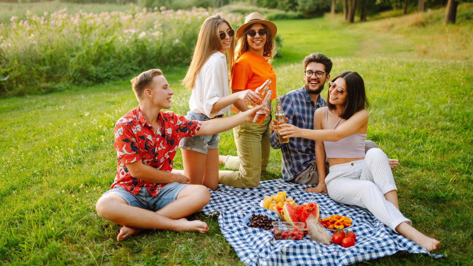 Group of friends having a picnig